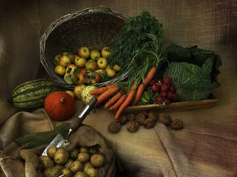 Comment choisir les bons équipements pour votre cuisine ?