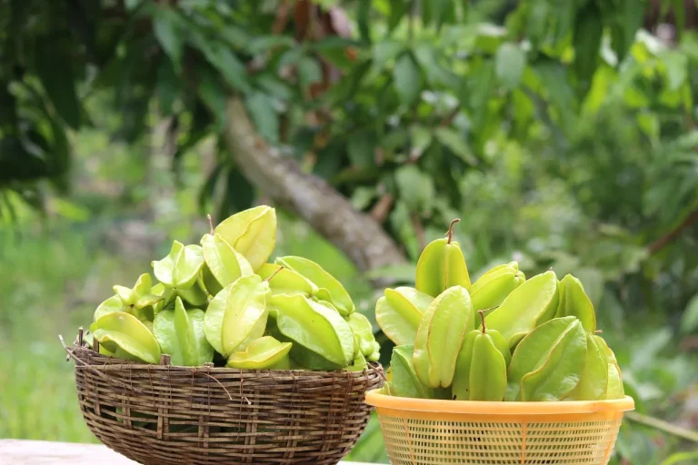 Acide hyaluronique : un allié pour la cuisine et le bien-être